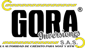 Aliado 1